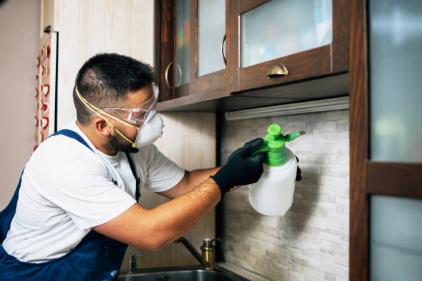 Best Wildlife Control Services  in Springerville, AZ