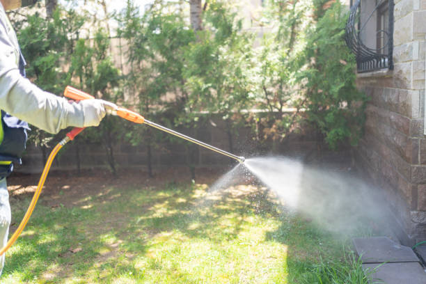 Best Exterminator Services  in Springerville, AZ