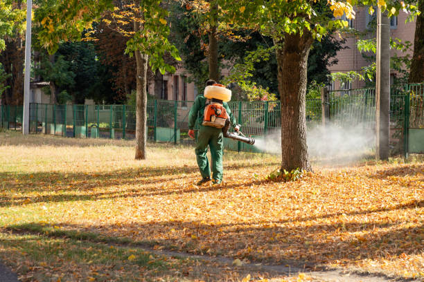 Best Pest Prevention Services  in Springerville, AZ